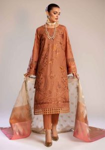 tahzeeb-254-02-01