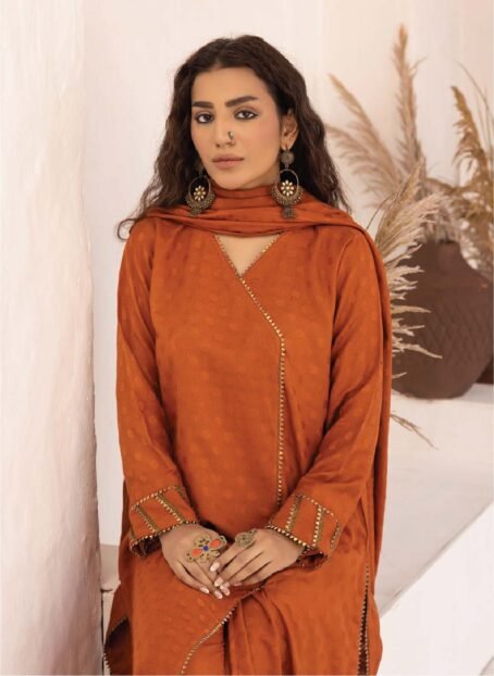 Luxury Dhanak Self Jacquard Masoori shawl in Ruddy Brown from Heer by Aalaya Vol 1 HA-03-2