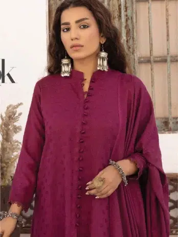 Heer by Aalaya Vol 1 HA-04-3, matching trousers in Pansy Purple from the 2024 Dhanak collection.