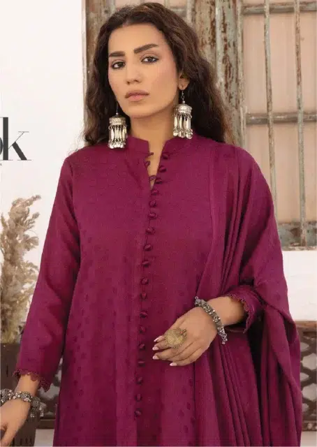 Heer by Aalaya Vol 1 HA-04-3, matching trousers in Pansy Purple from the 2024 Dhanak collection.