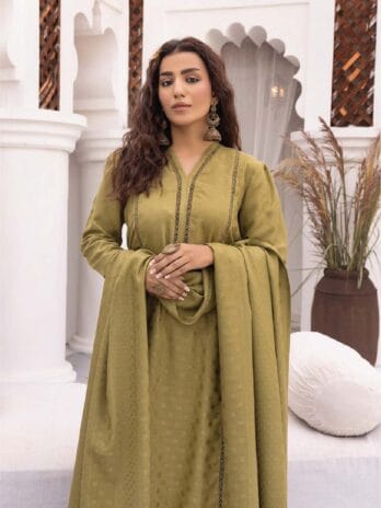 Heer by Aalaya Vol 1 HA-05-3, matching trousers in Drab color from the 2024 Dhanak collection.