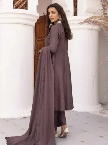 Heer by Aalaya Vol 1 HA-06-2, Luxury Dhanak Self Jacquard Masoori shawl in Rose Ebony color