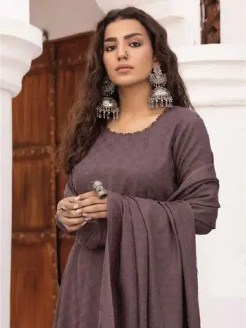 Heer by Aalaya Vol 1 HA-06-3, matching trousers in Rose Ebony color from the 2024 Dhanak collection.