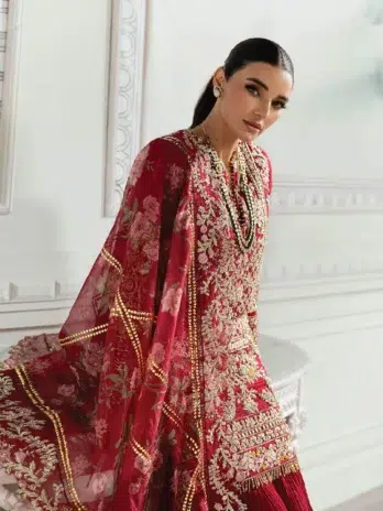Artisan Story by Crimson D-07 -4 in Ruby color, detailed with mukaish metal on the dupatta and embroidered organza sleeves.