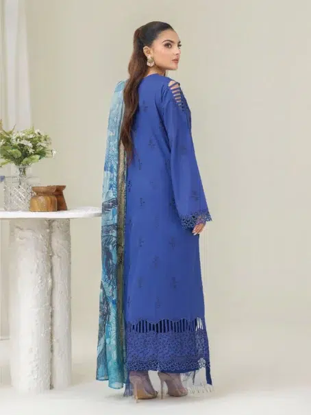 Coco Cherry by Gulljee D-08 Full Back Design in Dusky Blue Color