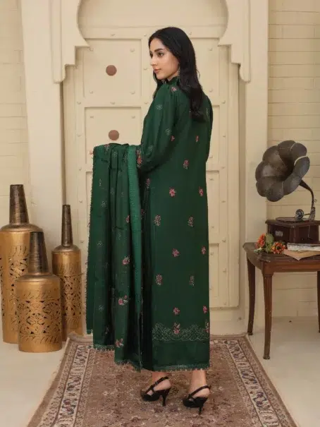 Dil E Naaz By Aalaya D-02 green dress styled for winter fashion