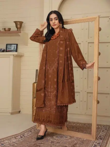 Dil E Naaz By Aalaya D-03 brown dress full outfit display