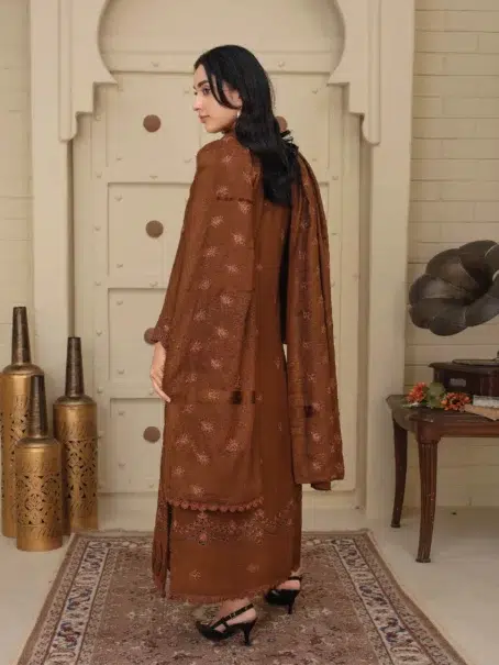 Dil E Naaz By Aalaya D-03 brown dress styled for winter fashion trends