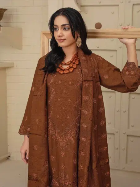 Dil E Naaz By Aalaya D-03 embroidered brown dress close-up details