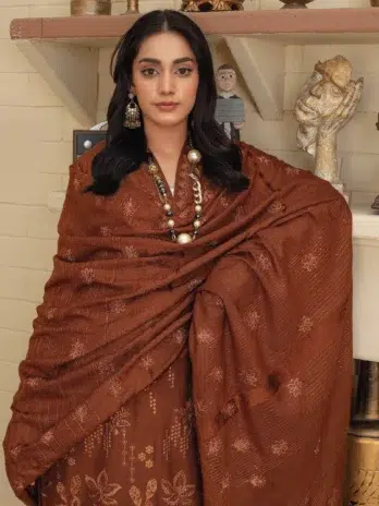 "Close-up of embroidery on Dil E Naaz By Aalaya D-08 in Brown color"