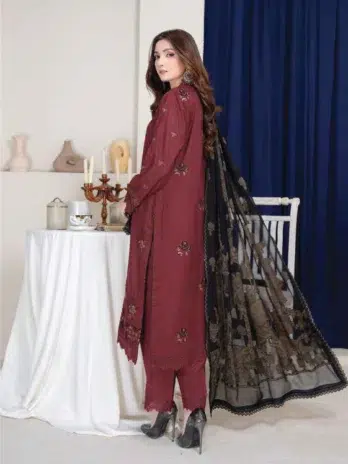"Model wearing Anadil By Riaz Arts D-03 in Wine color in an elegant indoor setting."