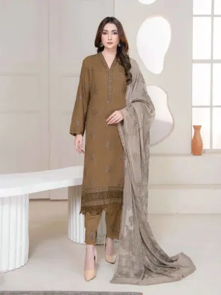 "Front view of Anadil By Riaz Arts D-05 in Dull Brown color featuring delicate embroidery and classic cuts."