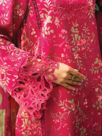 Close-Up – Rang Rasiya Aria Organza Embroidered Neckline and Border Detailing