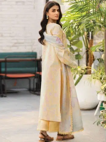 Back View – Rang Rasiya Hazel Shirt and Slub Textured Dupatta Display