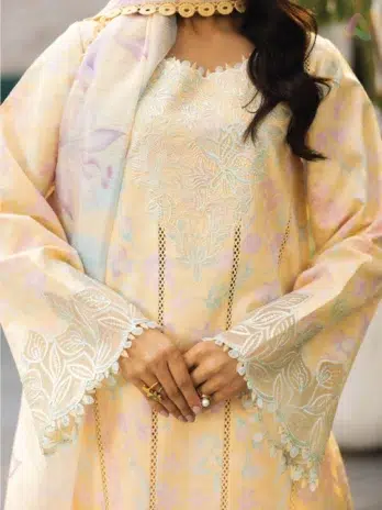 Close-Up – Embroidered Neck and Sleeve Border on Organza from Hazel by Rang Rasiya