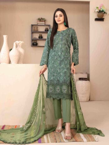 Front view of Mira Nur By Tawakkal D-1366 with jaal and daman embroidery