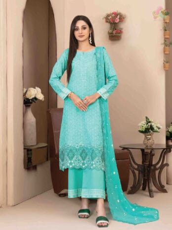 Front view of Mira Nur D-1367 with embroidered jaal & daman on printed lawn shirt