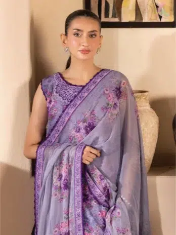 Close-up of the neckline and daman lace with delicate sequin embroidery on Saraab by Brenish D-05.