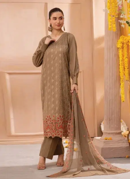 Front Image: Front view of embroidered bana dora lawn shirt featuring traditional jaal and daman patterns from Zerlin by DOR D-03 collection