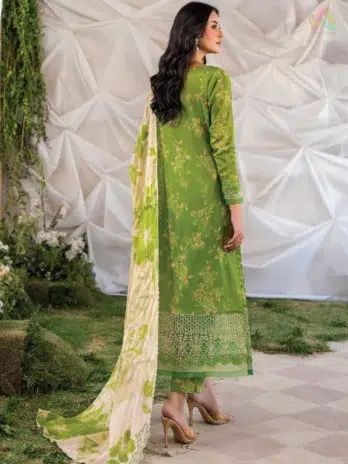Back view of Ziya by Binaas D-04 featuring matching digital printed lawn design and embroidered sleeves for a stylish, coordinated look