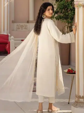 Back side of Ilana by Panache Vol 2 D-02 showcasing embroidered Karandi shirt and fine detailing from Puri Fabrics New Collection 2025.