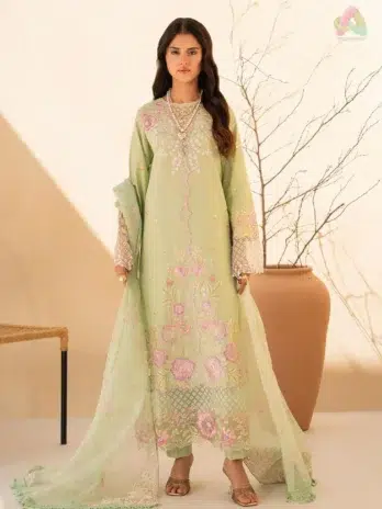 Front view of Jahaan by Rajbari Raya 1-B featuring embroidered center panel and neckline from Rajbari lawn 2025 collection