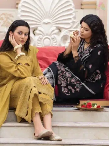 Full outfit of Ilana by Panache Vol 2 D-03, 3-piece embroidered Karandi suit from Puri Fabrics clothing and Puri Fabrics Collection 2025.