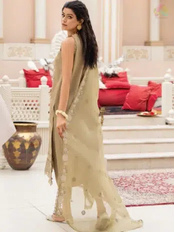 Back design of Ilana by Panache Vol 2 D-08, highlighting embroidered Karandi fabric artistry from the premium Puri Fabrics New Collection for 2025 fashion trends