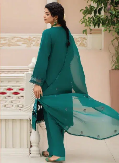 Back design of Ilana by Panache Vol 2 D-09, highlighting embroidered Karandi craftsmanship from Puri Fabrics New Collection, blending elegance and fine detailing.