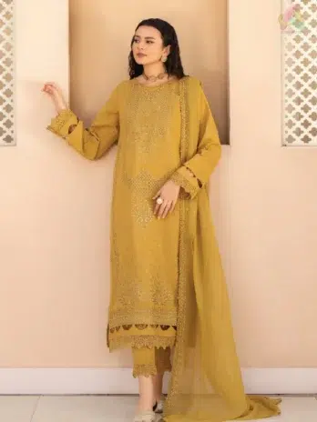 Front view of Ilana by Panache Vol 2 D-10, showcasing embroidered Karandi shirt from Puri Fabrics Karandi Collection 2025, perfect for elegant winter outfits.