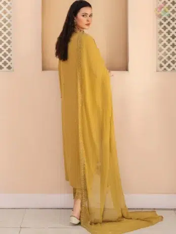 Back view of Ilana by Panache Vol 2 D-10, featuring embroidered Karandi detailing from Puri Fabrics New Collection, designed for timeless seasonal fashion.