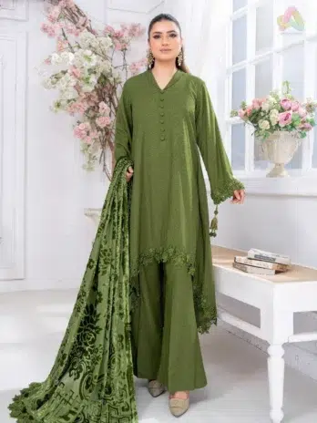 Front view of Pahali by Riaz Arts D-03 luxury 3-piece Dhanak suit featuring Zari Wool Shirt with Velvet Cutwork Shawl and plain trouser.