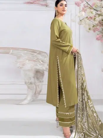 Pahali by Riaz Arts D-08 back view featuring detailed embroidered Dhanak Zari Wool Shirt, Velvet Shawl, and Plain Trouser from Riaz Arts Dhanak Collection.