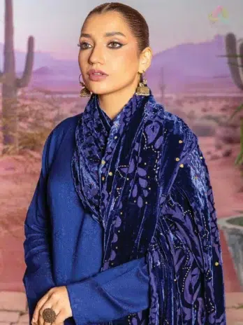 Close-up of Anarkali By Mahay A-01 highlighting fancy zarri jacquard texture and fine craftsmanship.