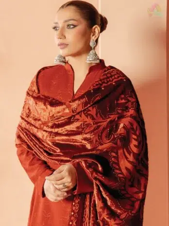 Close-up of Anarkali By Mahay A-05 highlighting zarri jacquard weave and fabric quality from Mahay clothing and New Collection 2025.