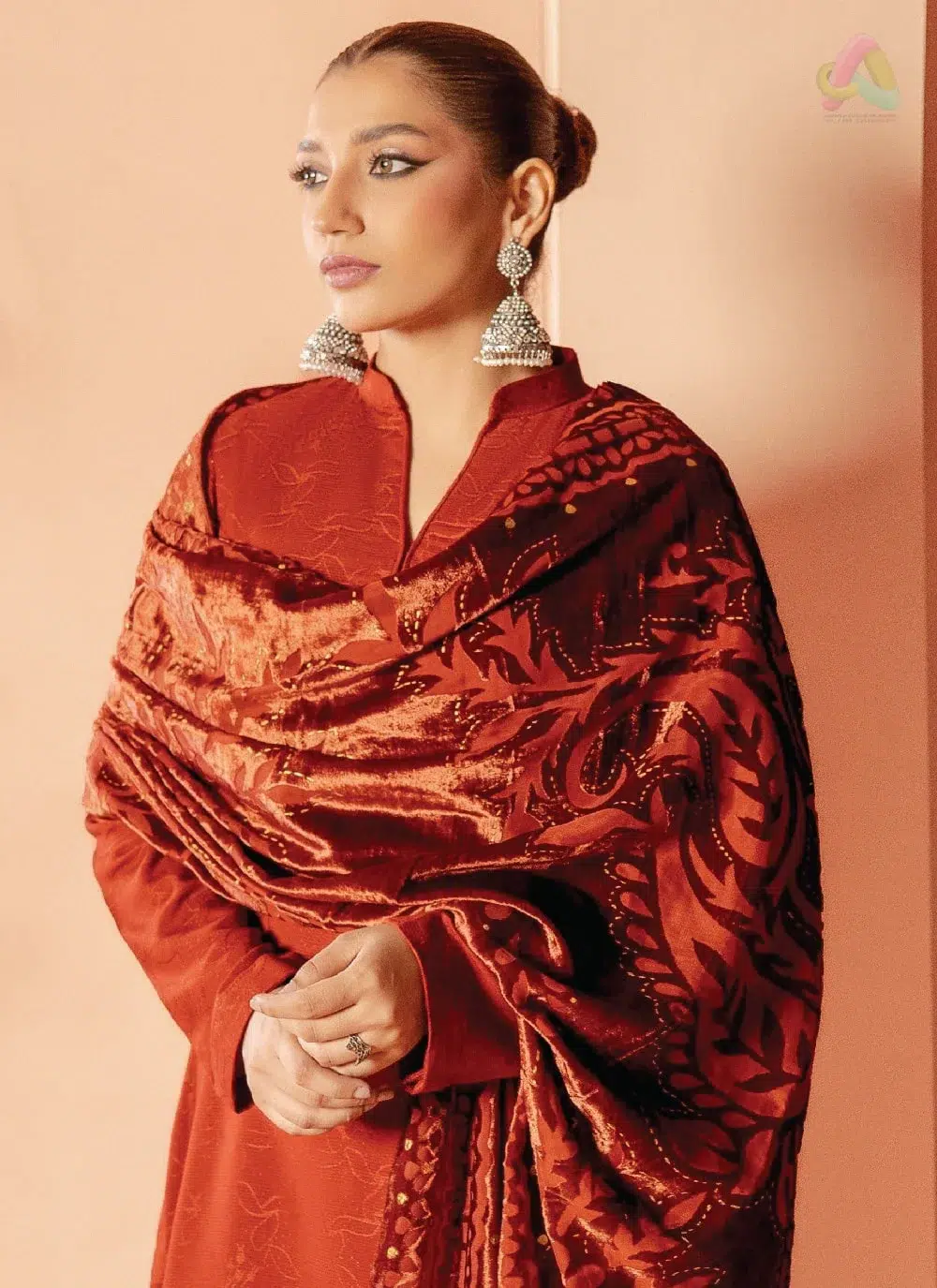 Anarkali By Mahay A-05 3 Close-up of Anarkali By Mahay A-05 highlighting zarri jacquard weave and fabric quality from Mahay clothing and New Collection 2025.