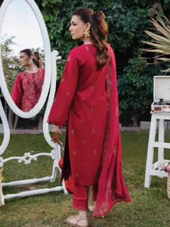 Back Image: Whiscal by Celts D-05 plain lawn back with embroidered sleeves