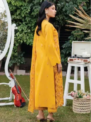 Back Image: Whiscal by Celts D-06 plain lawn back with embroidered sleeves